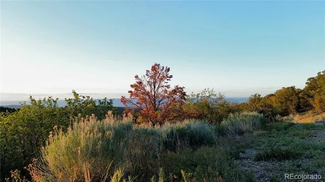 18975 Elk Reserve Road Glade Park, CO 81523