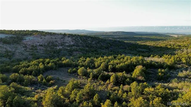 18975 Elk Reserve Road Glade Park, CO 81523