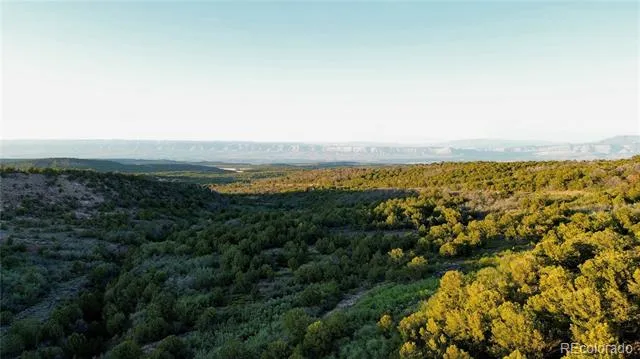 18975 Elk Reserve Road Glade Park, CO 81523
