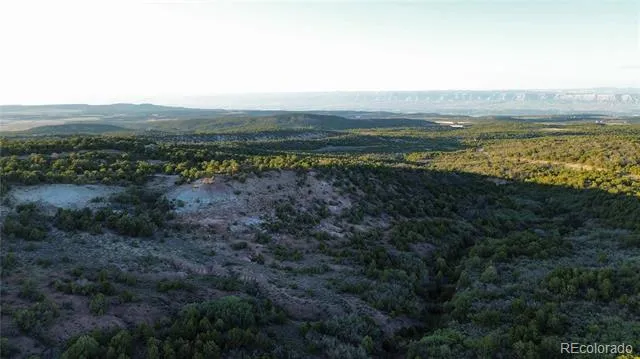 18975 Elk Reserve Road Glade Park, CO 81523
