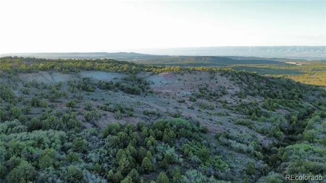 18975 Elk Reserve Road Glade Park, CO 81523