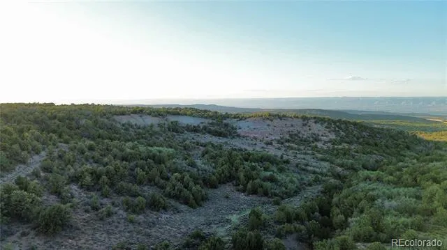 18975 Elk Reserve Road Glade Park, CO 81523