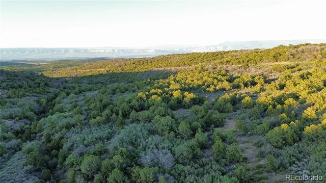 18975 Elk Reserve Road Glade Park, CO 81523