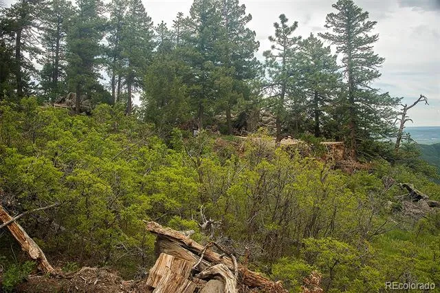 13864 Trail Circle Littleton, CO 80127