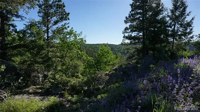 13864 Trail Circle Littleton, CO 80127