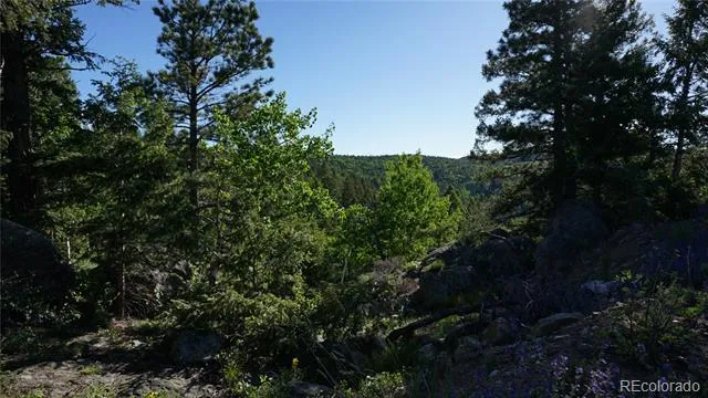 13864 Trail Circle Littleton, CO 80127