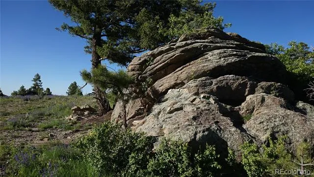 13864 Trail Circle Littleton, CO 80127