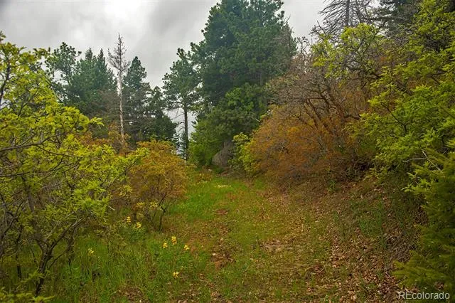 13864 Trail Circle Littleton, CO 80127
