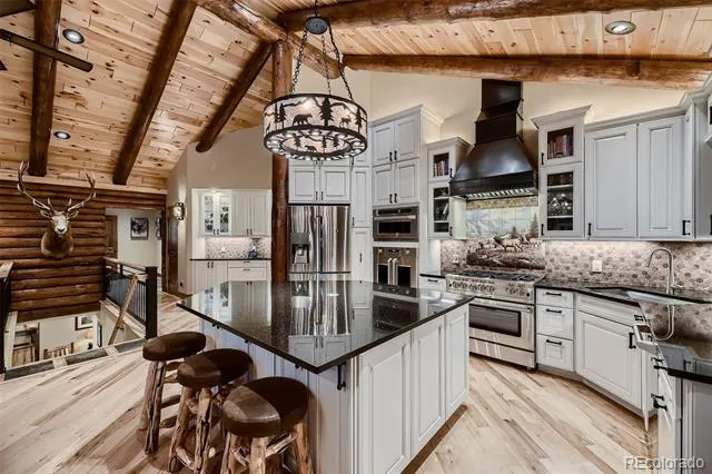 13116 S Noka Trail Pine, CO 80470