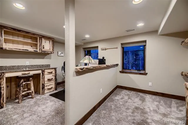 13116 S Noka Trail Pine, CO 80470