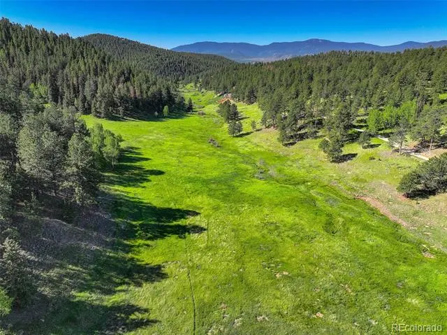 13116 S Noka Trail Pine, CO 80470