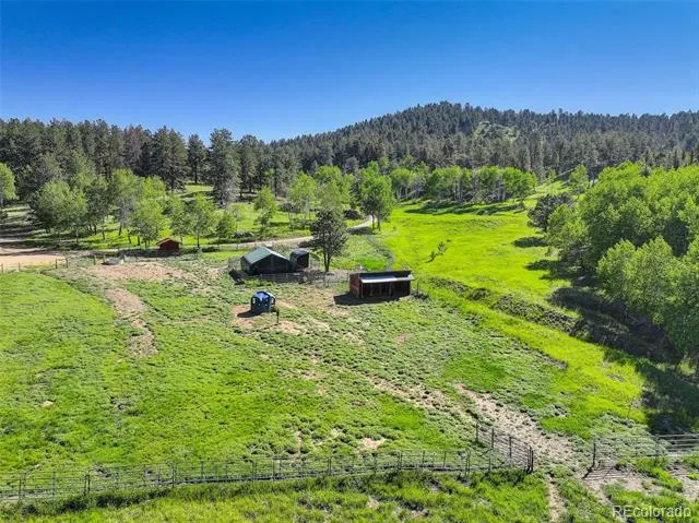 13116 S Noka Trail Pine, CO 80470