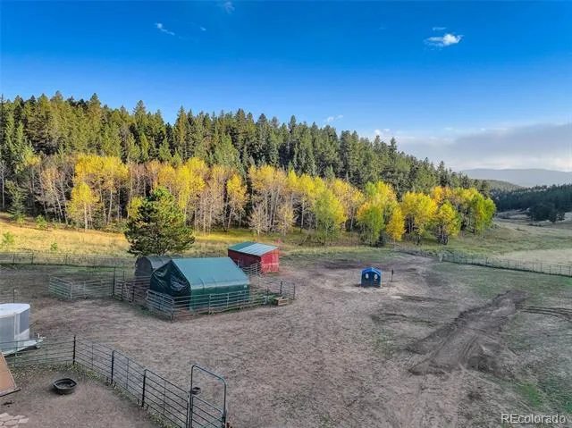 13116 S Noka Trail Pine, CO 80470