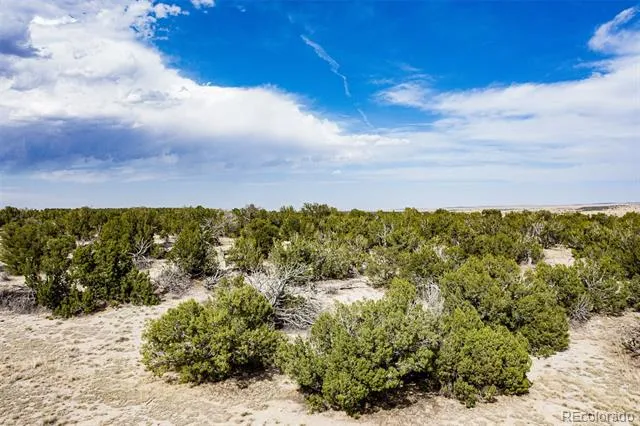 241 Morning Star Road Rye, CO 81069