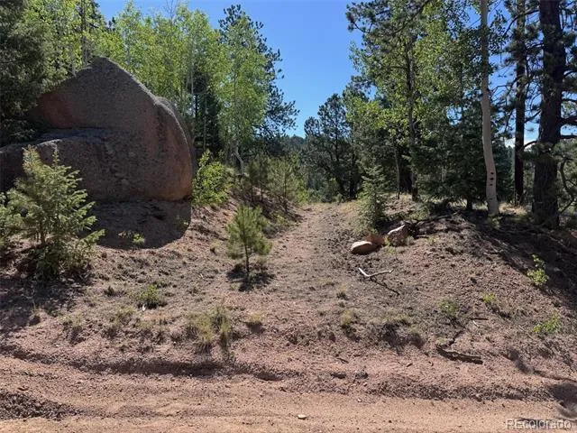 2334 Mountain Estates Road Florissant, CO 80816