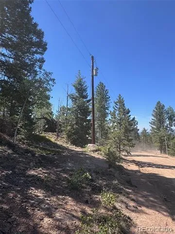 2334 Mountain Estates Road Florissant, CO 80816