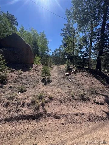 2334 Mountain Estates Road Florissant, CO 80816