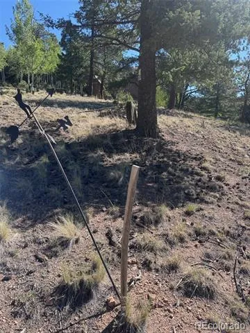 2334 Mountain Estates Road Florissant, CO 80816
