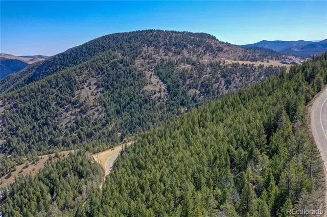 00 Saddleback Evergreen, CO 80439