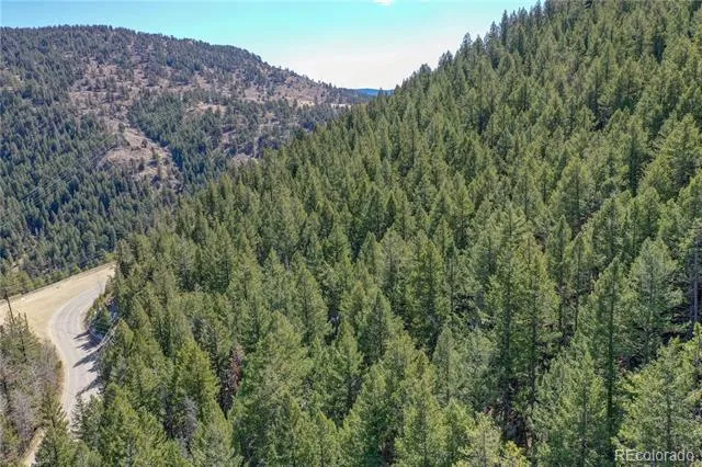 00 Saddleback Evergreen, CO 80439
