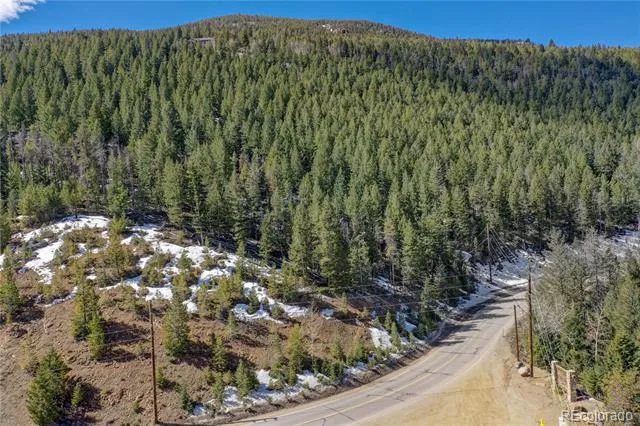 00 Saddleback Evergreen, CO 80439