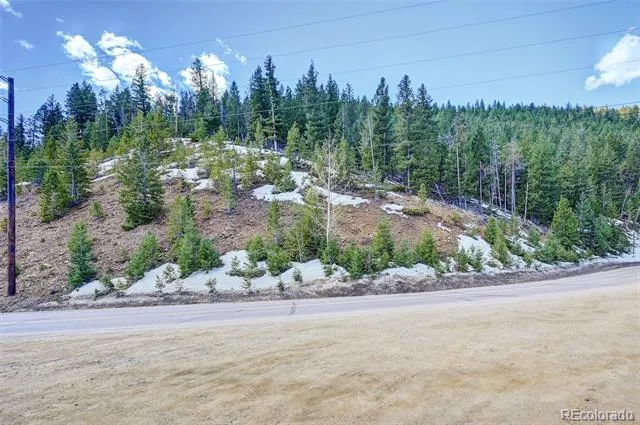 00 Saddleback Evergreen, CO 80439