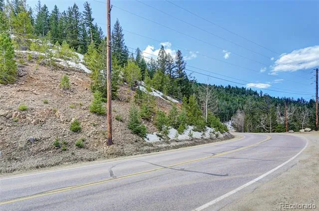 00 Saddleback Evergreen, CO 80439