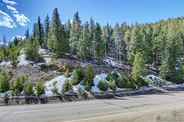 00 Saddleback Evergreen, CO 80439