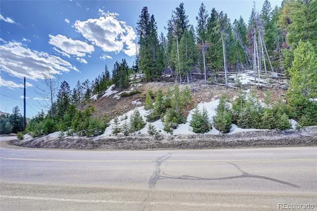 00 Saddleback Evergreen, CO 80439