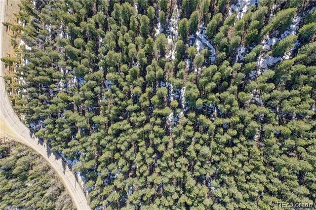 00 Saddleback Evergreen, CO 80439
