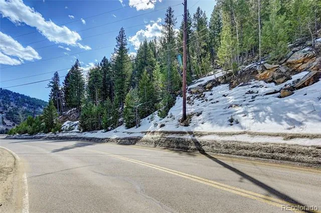 00 Saddleback Evergreen, CO 80439