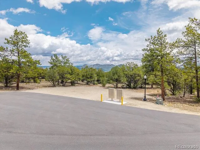 28922 Timber Ridge Buena Vista, CO 81211