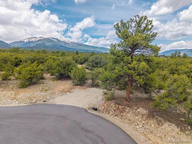 28922 Timber Ridge Buena Vista, CO 81211