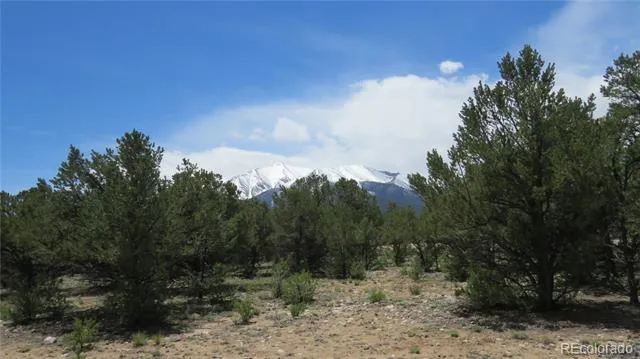 28922 Timber Ridge Buena Vista, CO 81211