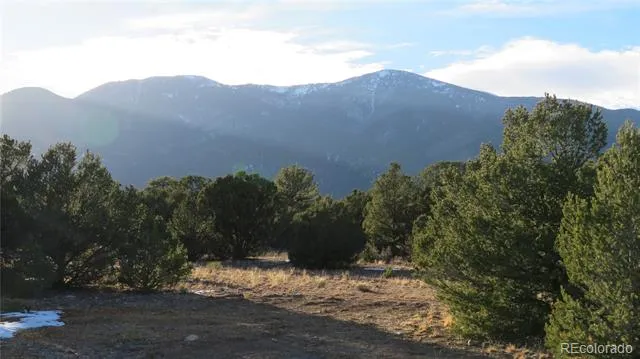 28922 Timber Ridge Buena Vista, CO 81211