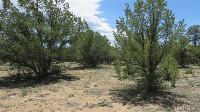 28922 Timber Ridge Buena Vista, CO 81211