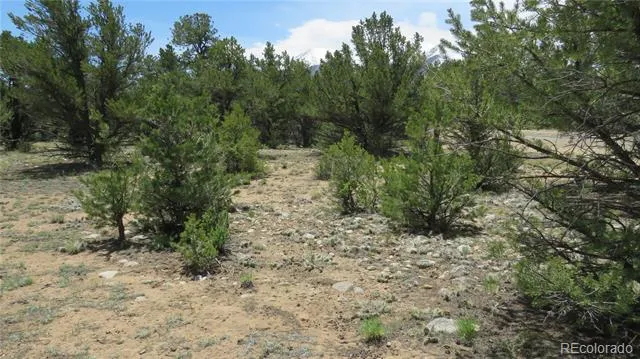 28922 Timber Ridge Buena Vista, CO 81211