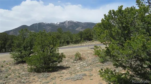 28922 Timber Ridge Buena Vista, CO 81211
