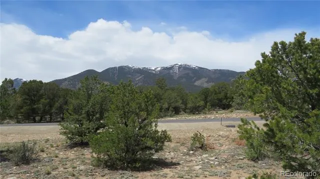 28922 Timber Ridge Buena Vista, CO 81211
