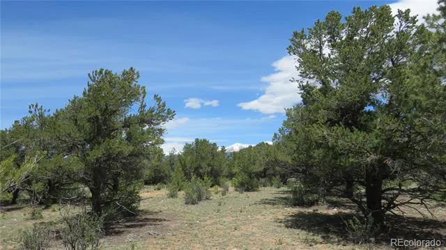 28922 Timber Ridge Buena Vista, CO 81211