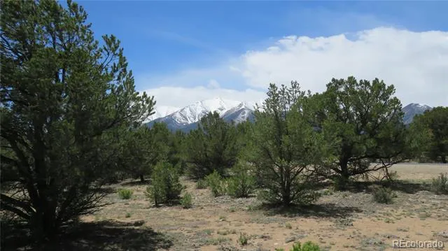 28922 Timber Ridge Buena Vista, CO 81211