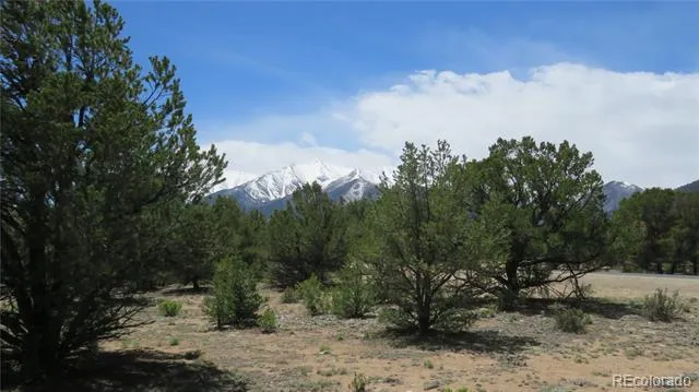 28922 Timber Ridge Buena Vista, CO 81211