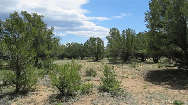 28922 Timber Ridge Buena Vista, CO 81211