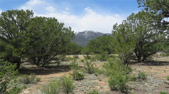 28922 Timber Ridge Buena Vista, CO 81211