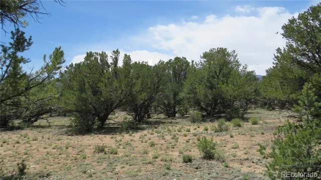 28922 Timber Ridge Buena Vista, CO 81211