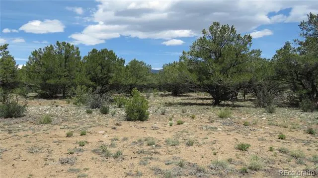 28922 Timber Ridge Buena Vista, CO 81211