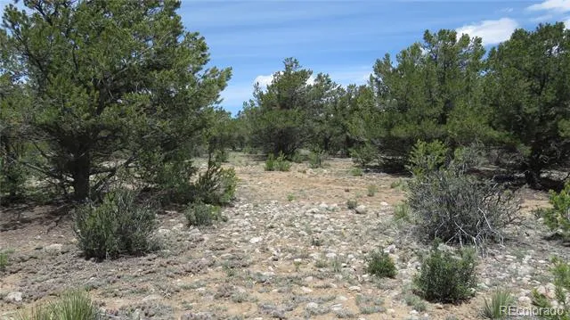 28922 Timber Ridge Buena Vista, CO 81211