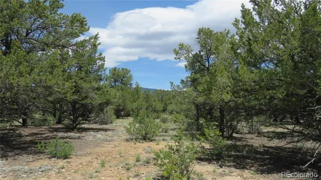 28922 Timber Ridge Buena Vista, CO 81211