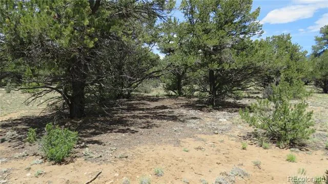 28922 Timber Ridge Buena Vista, CO 81211