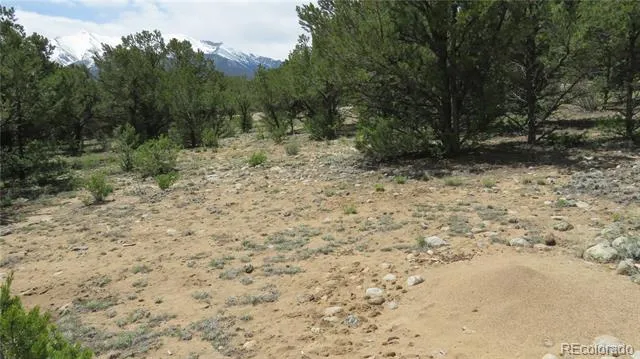 28922 Timber Ridge Buena Vista, CO 81211